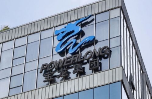 寶龍實(shí)業(yè) 未能如期支付 21寶龍01 5000萬(wàn)元本金,獲30天寬限期